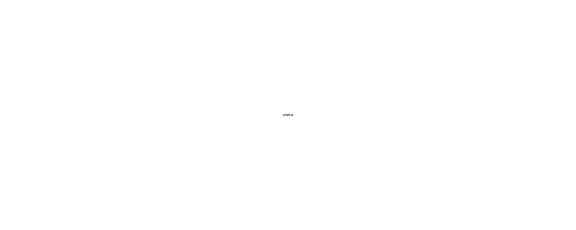 Nose To Toes Grooming